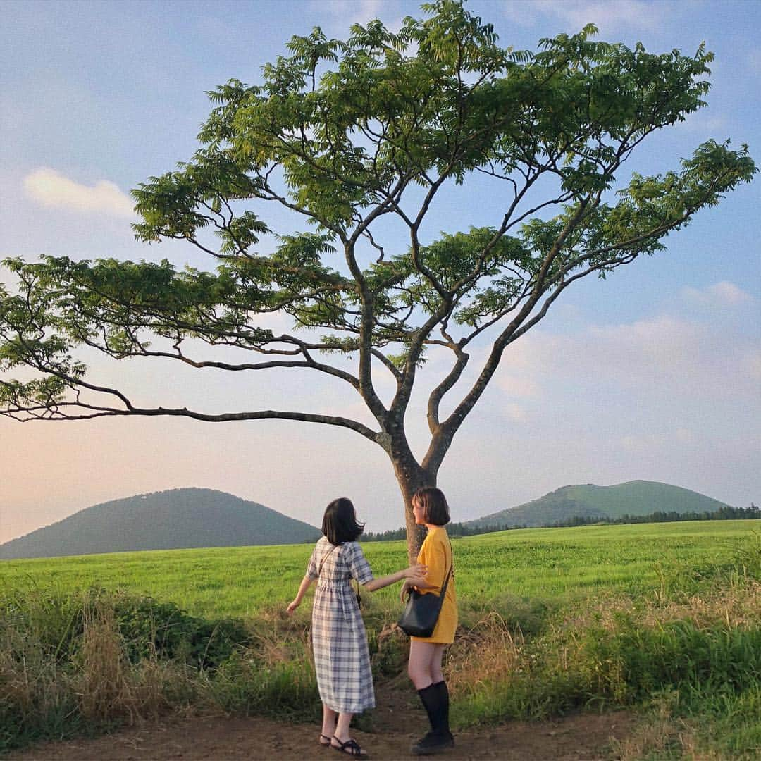 ウィ・ソンヒさんのインスタグラム写真 - (ウィ・ソンヒInstagram)「제주도 너무 좋아🌿 #성희in제주 #성희는여행중 #새별오름 #나홀로나무」7月18日 22時49分 - _seong_hee