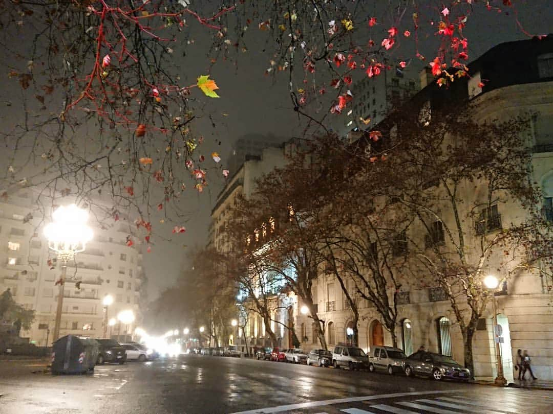 田中彩子さんのインスタグラム写真 - (田中彩子Instagram)「. #raining #beautifulcity #buenosaires . リハーサル帰り道。 雨で湿った街がとても色っぽい。 . . #ブエノスアイレス #コンサート」7月19日 11時42分 - ayakotanaka_instaofficial