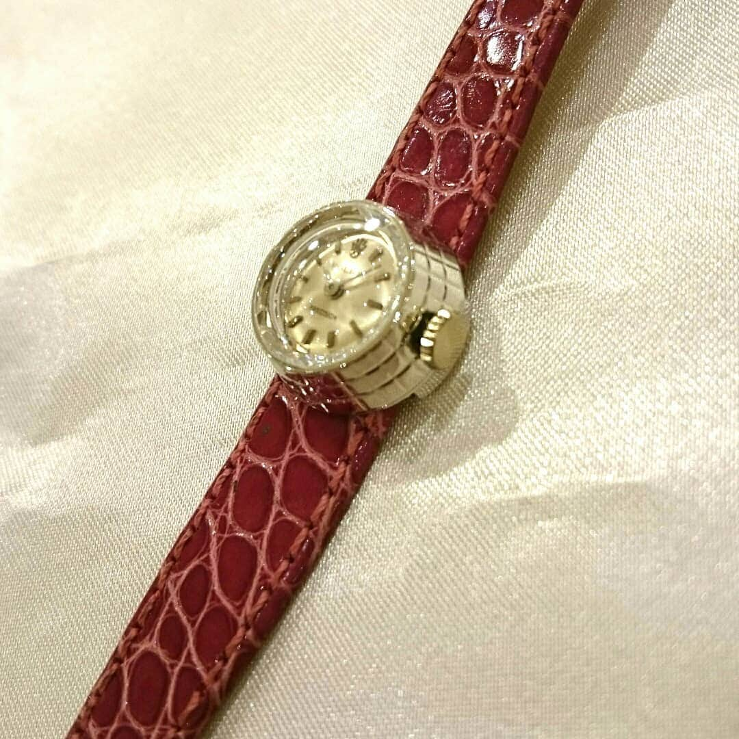 HIROBさんのインスタグラム写真 - (HIROBInstagram)「Vintage ROLEX CHAMELEON ▼18kwg  17003890-345010 ￥330,000tax ▼18kyg 17003890-477630 ￥580,000tax  #ROLEX#ロレックス #ROLEX CHAMELEON#カメレオン #antique#アンティーク#vintage #ビンテージ#fashionista#instagood#OOTD#YOLO#love #acccessories#アクセサリー#fashion#時計 #自分へのご褒美#丸ビル#新丸ビル#hirob」7月19日 20時31分 - hirob.jp