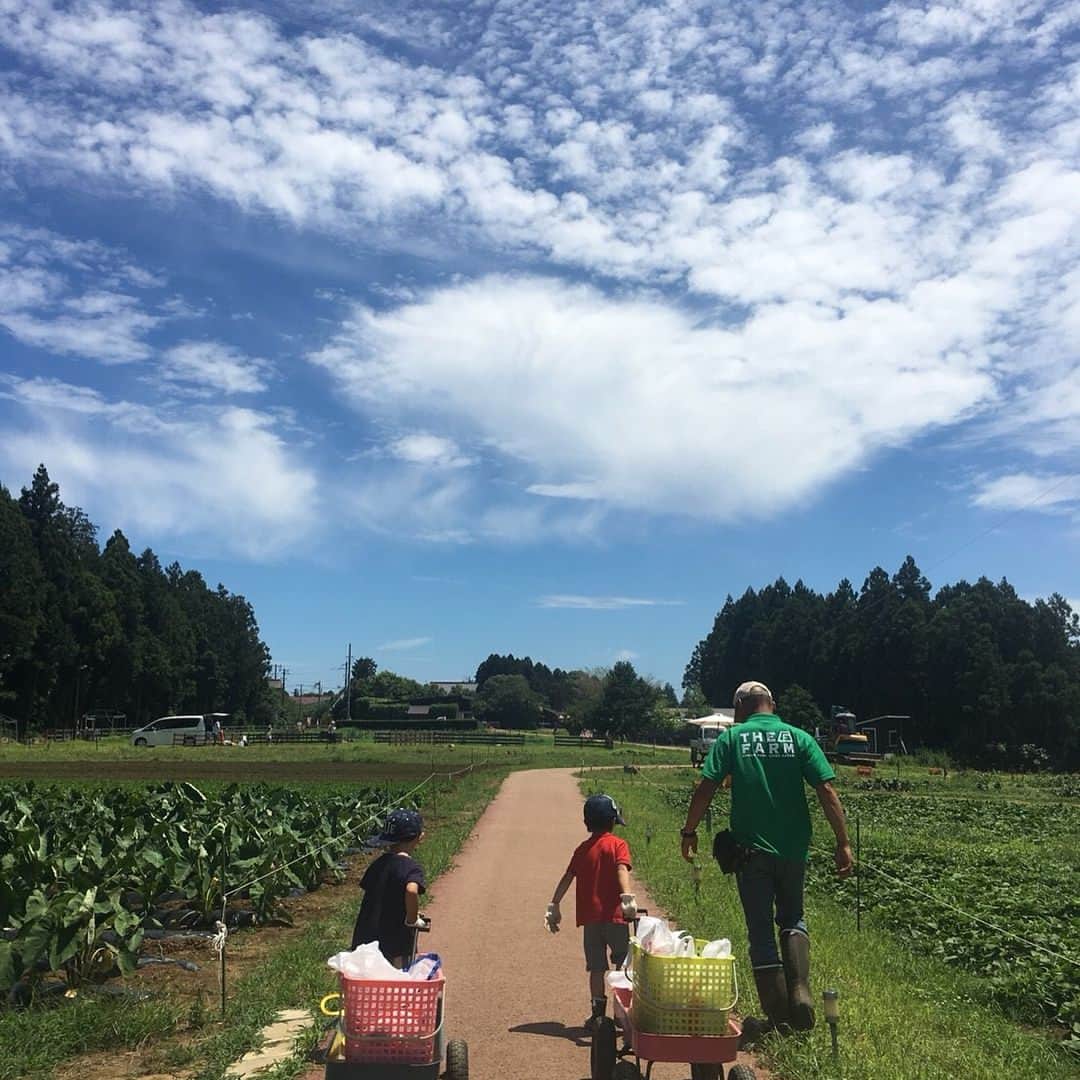 小倉優子さんのインスタグラム写真 - (小倉優子Instagram)「最近、畑に行きました😊 収穫したお野菜だと普段よりモリモリ食べてくれます✨✨✨」7月19日 21時59分 - ogura_yuko_0826