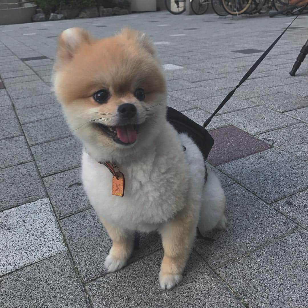 Paloaltoのインスタグラム：「huge inspiration in my life」