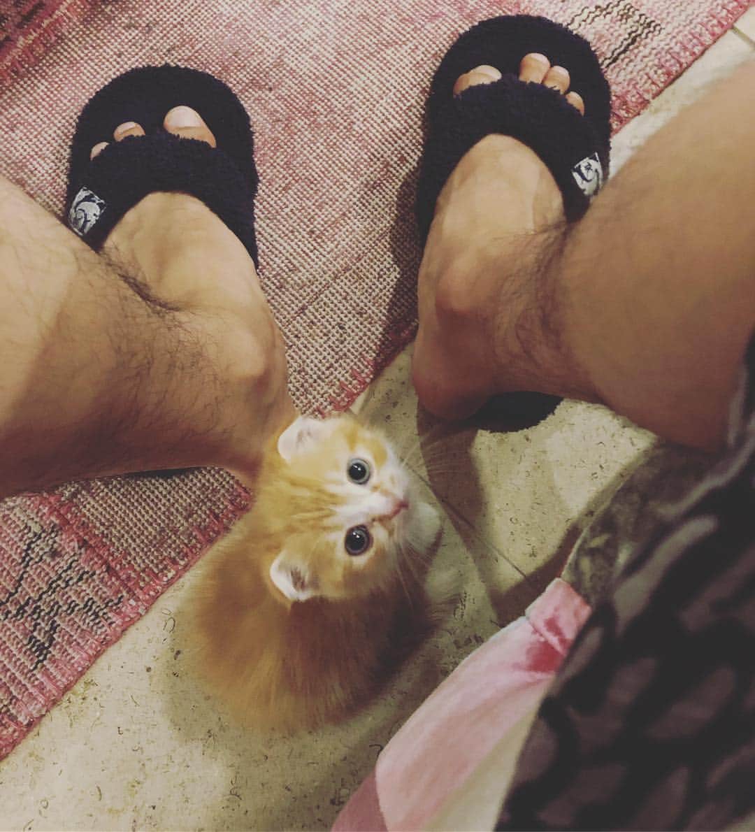 HIKAKINのインスタグラム：「編集してると、ずっと足元に何時間もいてくれる😭💕」