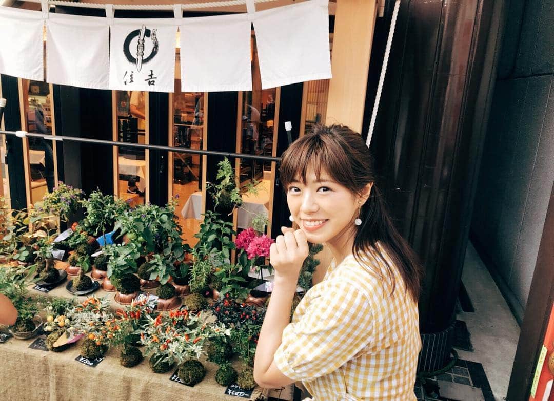 わちみなみのインスタグラム：「苔玉ほしかったけど、レッスン前だったので断念しました🎐 . 友達は興味なし、笑 ちょっと恥ずかしい。笑 苔玉かわいいよね。 . #苔玉 #欲しい #わちみどり」