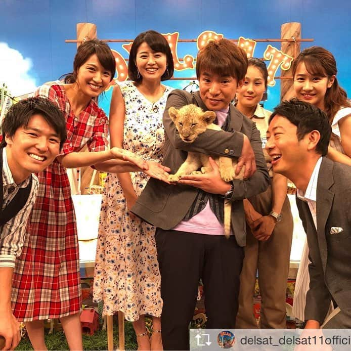 鈴木ちなみさんのインスタグラム写真 - (鈴木ちなみInstagram)「🦁❤️ Repost from @delsat_delsat11official @TopRankRepost #TopRankRepost 今日はデルサタにステキなゲストが‼︎✨富士サファリパークのライオンの赤ちゃん☺️ めちゃ可愛くて、スタッフもメロメロでした✨ 富士サファリパークで会えるそうなので、夏休みに会いに行ってみてください♪  この後、デルサタ11も見てくださいね~😊 #富士サファリパーク #ライオンの赤ちゃん 《デルサタファミリー》#濱口優#よゐこ#鈴木ちなみ#浅尾美和#メ〜テレ#メーテレ#ウルフィ#名古屋#デルサタ#お出かけ情報#デルサタ11#倉橋友和 #濱田隼#島津咲苗#望木聡子 #アナウンサー」7月21日 8時19分 - chinami_suzuki0926