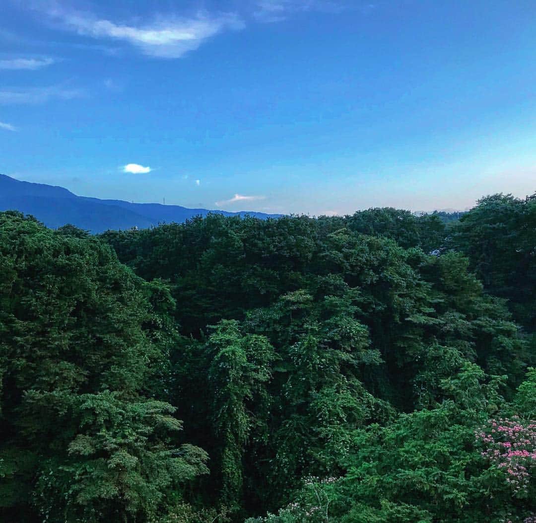 孝介さんのインスタグラム写真 - (孝介Instagram)「いつかの森林浴。  #forest #green #blue #white #sky #relax」7月21日 11時56分 - kousuke_zanpa