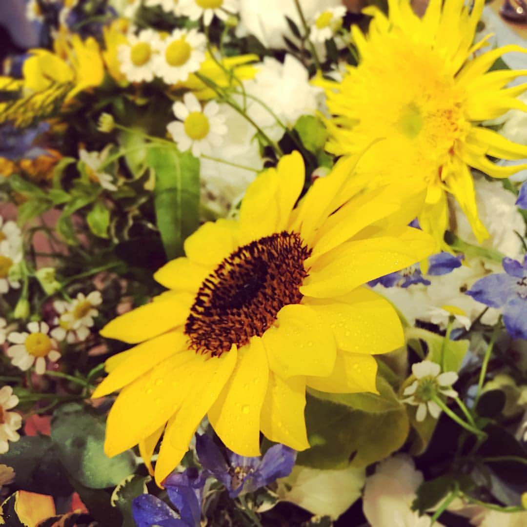 ラッセンブリ広尾のインスタグラム：「本日の装花。夏らしく。会場がより明るくなります。 #ラッセンブリ広尾 #lassemblee #会場装花 #flower #ひまわり #向日葵 #sunflower #夏らしく #これから披露宴  #weddingphotography」