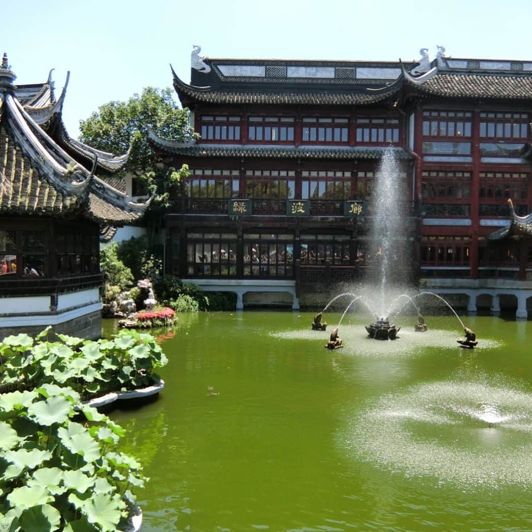 天明麻衣子さんのインスタグラム写真 - (天明麻衣子Instagram)「上海の豫園は炎天下にも関わらず、すごい人でした！でも、中国式庭園の回廊で池を眺めながら休憩すると、涼を感じられますよ☆ #上海 #上海旅行 #豫園」7月21日 23時45分 - maiko_temmei