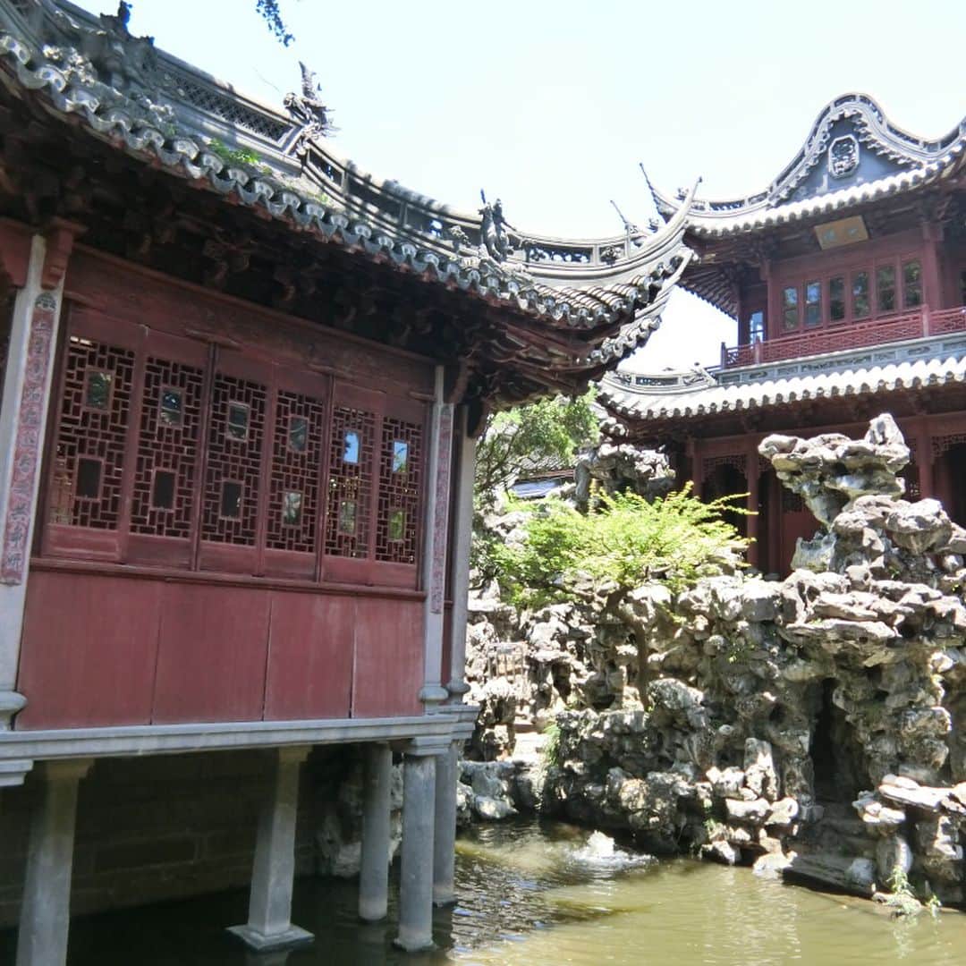 天明麻衣子さんのインスタグラム写真 - (天明麻衣子Instagram)「上海の豫園は炎天下にも関わらず、すごい人でした！でも、中国式庭園の回廊で池を眺めながら休憩すると、涼を感じられますよ☆ #上海 #上海旅行 #豫園」7月21日 23時45分 - maiko_temmei