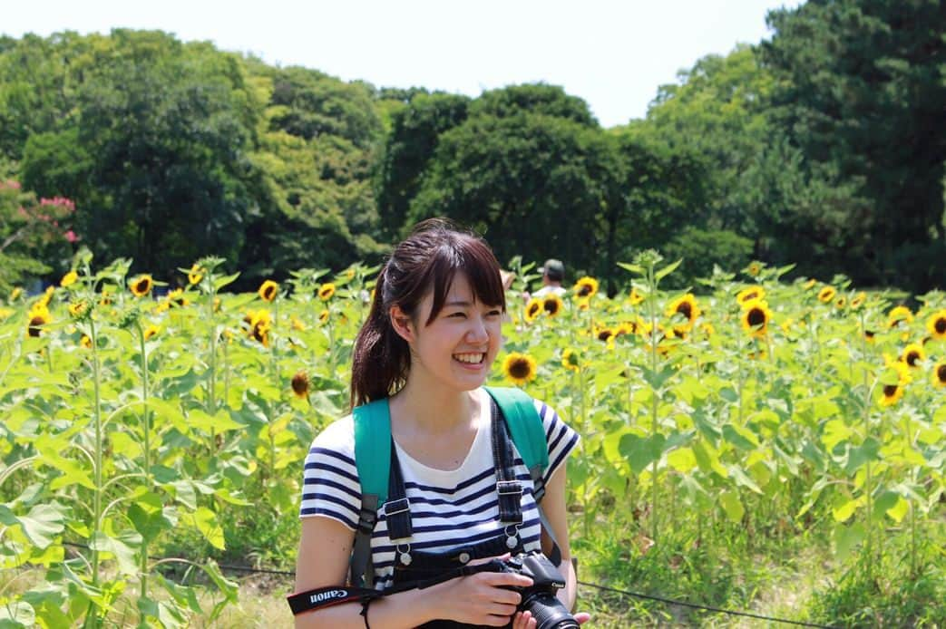 あいさのインスタグラム：「. 学生時代に行ったヒマワリ！ 今年も行きたい！！ でも暑すぎる！！ 暑さで溶けそうです！！ そういえばこの前クーラーの中にいるのに熱中症になりました… みなさんも注意してください🙏🏻 . #ヒマワリ #夏 #暑い #熱中症 #注意してください #カメラ #撮りに行きたい #sunflower #summer #toohot #burning #해바라기 #여름 #여름느낌 #더워 #일상 #데일리」