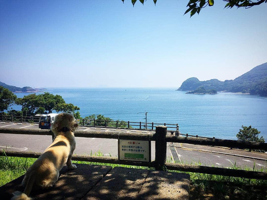 サラ・タミュラさんのインスタグラム写真 - (サラ・タミュラInstagram)「EOの夏休み🐶🏝✨ #eolog #sarahlog #eoもいるよ」7月21日 19時15分 - sarah.tamura