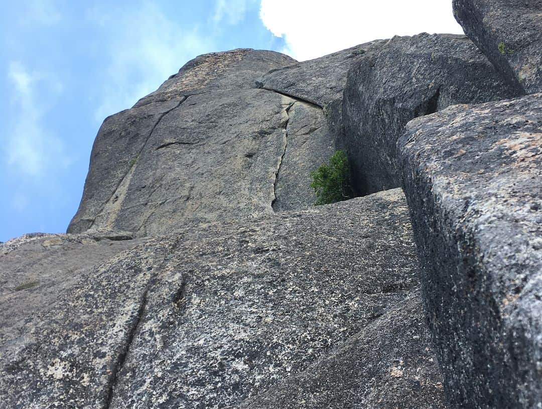 植田夢月さんのインスタグラム写真 - (植田夢月Instagram)「・ 7/19、十一面岩正面壁、ベルジュエール/5.11b(10P)を登りました。 前回と今回合わせて、全ピッチをRPできました。嬉しい！幹也くん、リード譲ってくれてありがとう。 ・ この瑞牆を代表するマルチ、紆余曲折あったおかげで、自分にとって本当に思い出深いルートになりました。 ・ ・ #ここから始まる長文注意 ・ ・ 実は、去る5/18、夫とベルジュエールを初訪問。つるべで登っていき、順調にどのピッチもオンサイト……と思いきや！8P目のT字クラックで、リードの私がどハマり。 ・ 1時間くらい行ったり来たりした挙句にテンション。しかもロープスタックするし。さらに、後続パーティーのSGちゃんK木さんを、その間待たせて凍えさせるという大迷惑ぶり。 ・ 私のせいでチームオンサイトが消えるわ、めちゃくちゃかっこ悪いクライミングしちゃうわ、周りの方にご迷惑かけるわで、久々に心の底から落ち込みました。自信無くしました。 リベンジを誓って、残りのピッチはやらずに下山。 ・ ・ で、すぐに再挑戦する予定だったけど、夫がグラウンドフォールしたり、登攀中に私が女子の日になったり、雨が降ったり雨が降ったり雨が降ったりで、チャンスを逃し続けていました。 ・ さらに、調整が大変だったのが私のメンタル。1P目のフォローで落ちたことや、8P目で苦しんだことが嫌なイメージとして頭に残っていて、なかなか気持ちが前を向いてくれませんでした。 それを払拭するために、1P目だけ登りに行ったりしてました。 ・ ・ そして、天気も自分のメンタルもコンディションが整った今回、ようやく頂上に到達。頂上に立ったら、この2ヶ月間の出来事を思い出してちょっと涙が出ました。ピークっていいよね。こんなグズグズの私にずっと付き合ってくれた幹也くんに本当に感謝。 ・ ・ これで心おきなく次のステップに進めるぞー！ ・ ・ #長文読んでくれてありがとうございます  #ここまで読む人が存在するのか #3枚目の写真が因縁のT字クラック」7月21日 21時02分 - dream_moco