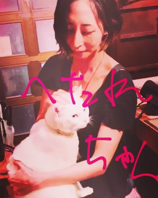 柳下毅一郎のインスタグラム：「へたれちゃん@宗右衛門町ひょうろく #へたれちゃん #cat #whitecat #catstagram #osaka #nightlife」