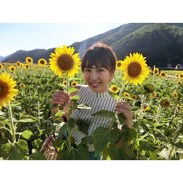 徳平由梨のインスタグラム：「今日は佐用町のヒマワリ畑に行ってきました🌻 . #ひまわり畑  #ひまわり #佐用町ひまわり畑  #ひょっこりはん #汗だく #ミスキャンパス甲南  #ミスキャンパス #ミスコン #甲南大学 #神戸」