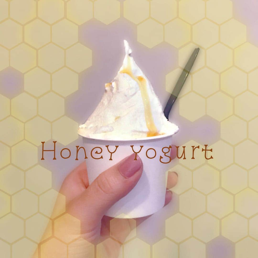 ジェラテリア ピッコ 松本のインスタグラム：「． 🍦 ジェラテリアピッコ松本🍦 *. . ・­­ ㅤㅤ7.22(日) ㅤㅤㅤ­­-- はちみつヨーグルト -- ­­・ .* ・ ． #ジェラテリアピッコ #ジェラテリアピッコ松本#松本 #松本カフェ#ジェラート#はちみつヨーグルト #はちみつ#ヨーグルト#honeyyogurt#honey#yogurt #matsumoto#gelateriapicco #picco#food#dessert#sweets#gelato🍦 #foodpic#instadessert  #foodstagram」