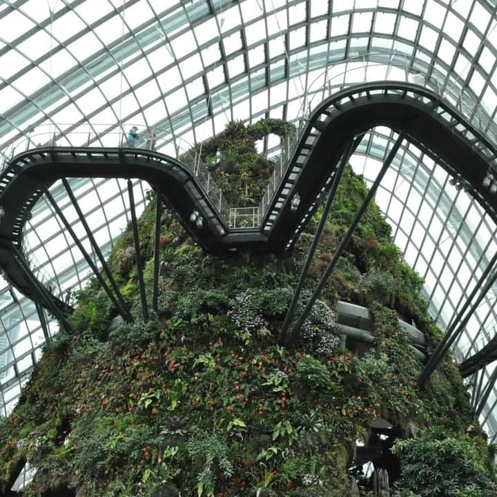 TRAVEL PLANETのインスタグラム：「#singapore #gardensbythebay #シンガポール #ガーデンズバイザベイ #世界見聞LOG . .  摩訶不思議 未来志向の 植物園 自然に満ちた 人工ドーム . . シンガポールのランドマークともいえるマリーナベイサンズの後方に広がるのが巨大な植物園「ガーデンズバイザベイ」。巨大なドームの中にそびえたつ山には熱帯雨林の植物生態系が再現され人工の滝が流れています。マイナスイオンに包まれる体験を是非！ . #トラベルプラネットでシンガポールの旅」