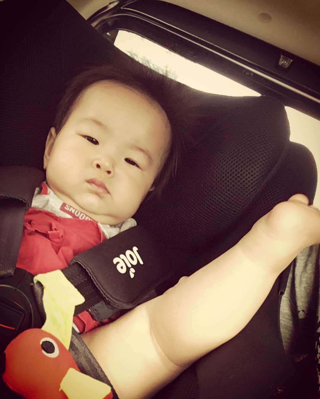 石塚祐輔さんのインスタグラム写真 - (石塚祐輔Instagram)「9 month anniversary‼︎ 7/21で９ヶ月になりました^ ^ 日に日にヤンチャになってく娘をみて…楽しくなってる親父です。 たくさんの人に可愛がられ…ハッピーに過ごしております🙇✨ これからも、親父頑張るぞー🙋🏽‍♂️ みなさんに感謝。 #陽向葵 #ひなた #９ヶ月 #7月21日 #感謝」7月22日 21時26分 - yusuke_ishitsuka3939