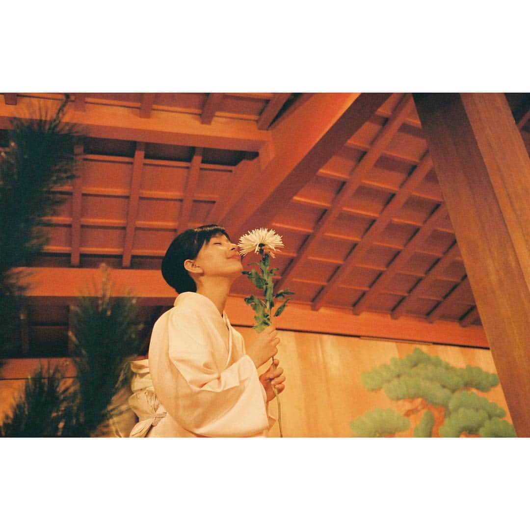芳根京子さんのインスタグラム写真 - (芳根京子Instagram)「くんくん。  #film #高嶺の花」7月23日 12時26分 - yoshinekyoko