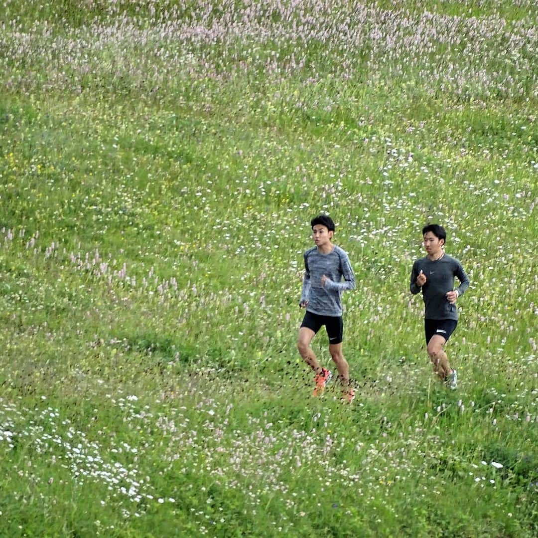 遠藤日向さんのインスタグラム写真 - (遠藤日向Instagram)「5/2〜7/23 初めての経験が多く、英語も話せない、聞けない、初めての場所、練習、環境。 今までやってきたことが全て変わりました。 とりあえず今シーズン前半終了。 松枝さんがいなきゃ、どうなってたか。 ほんとに良い方に出会えました。 思うような結果はまだ出てませんが、確実に一歩ずつ前進はしてると実感しています。 JMP(ジェリーマジックプロジェクト)はまだ始まったばかり。 必ず世界で戦えるようにこれからまた頑張ります！ そして、次回は松枝さんがいません。Sounds Good.←嘘 @hiro0520op  #JMP #住友電工 #富士通 #SoundsGood」7月23日 17時55分 - e_01.h48