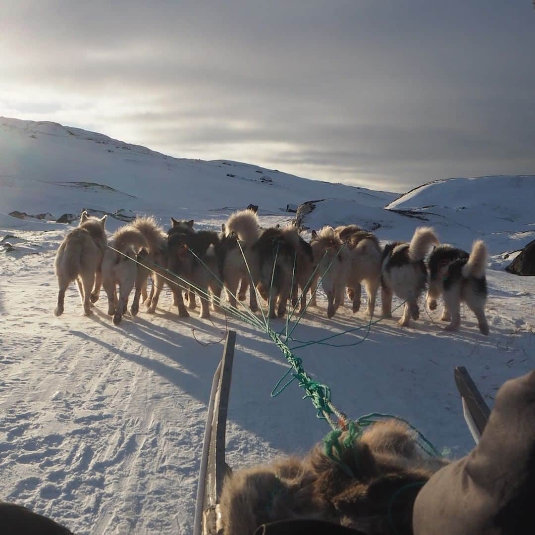 TRAVEL PLANETのインスタグラム：「#Ilulissat #greenland #イルリサット #グリーンランド #犬ぞり #世界見聞LOG . .  極北の 凍土を駆ける 大冒険 道なき道ゆく 犬ゾリの旅  グリーンランド第３の都市イルリサットは北極圏に位置する極寒の町。アイスフィヨルドが世界遺産に認定されているこの町の郊外で本格的な犬ゾリ体験ができます。  #トラベルプラネットでグリーンランドの旅」