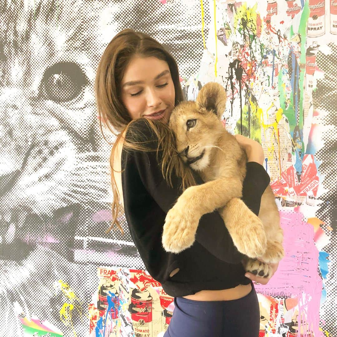 サラ・マッチさんのインスタグラム写真 - (サラ・マッチInstagram)「I fell in loooovvve with this beautiful baby lion , little angel Milagrito. I hope one day I’ll get to see him full grown . @blackjaguarwhitetiger」7月24日 2時19分 - sarah2mutch_