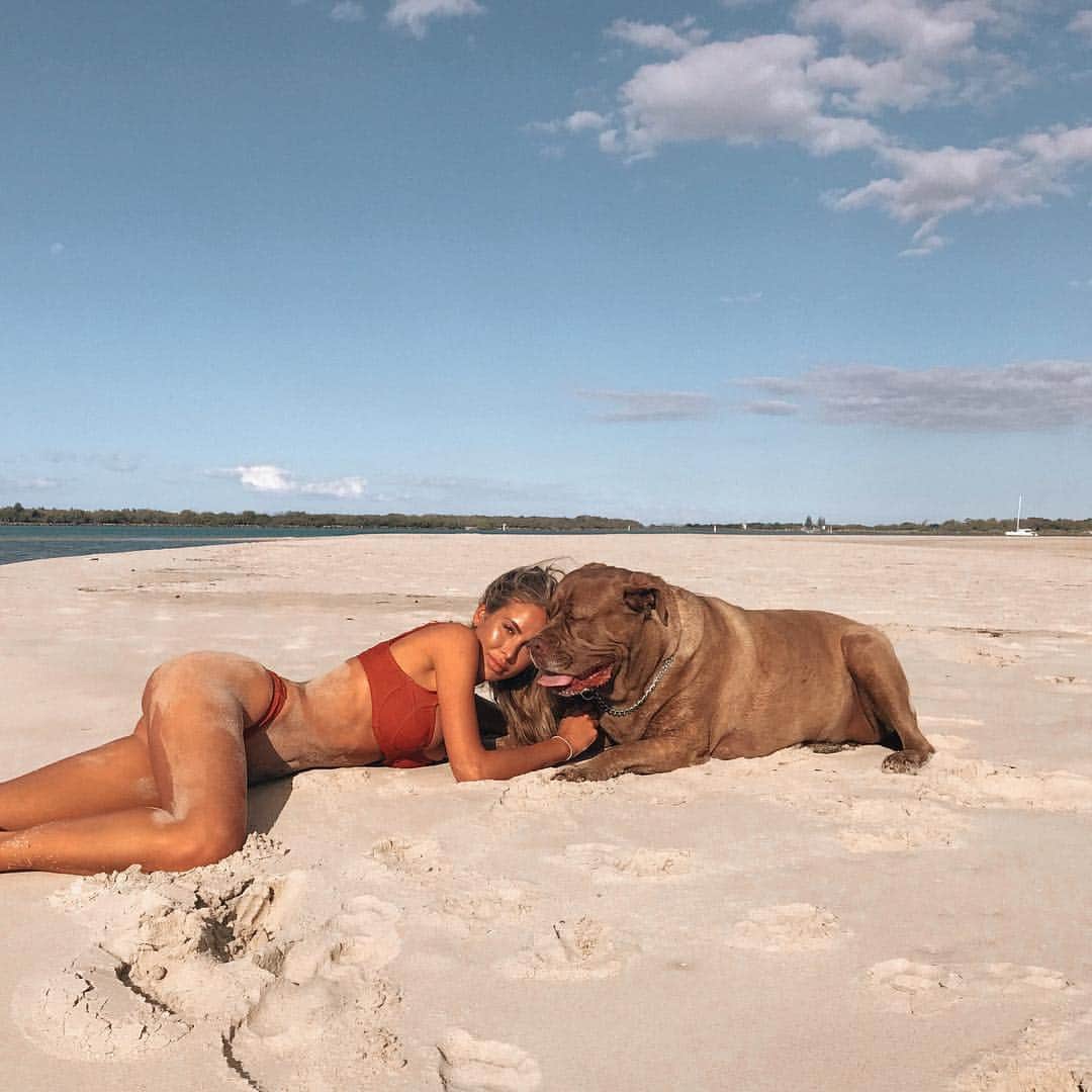 Renee Somerfieldのインスタグラム：「#mastiffmom」