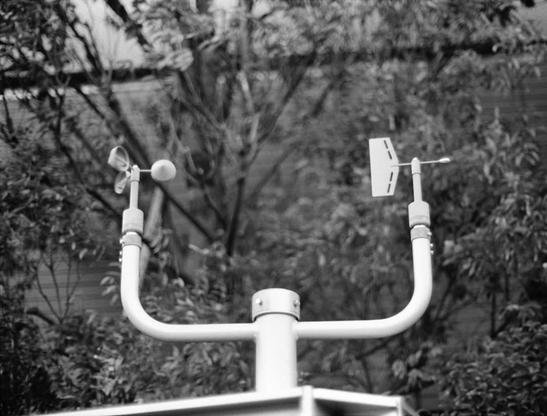 田島貴男さんのインスタグラム写真 - (田島貴男Instagram)「風向 #フィルムカメラ  #nikonf  #自家現像  #trix400」7月24日 14時00分 - tajimatakao