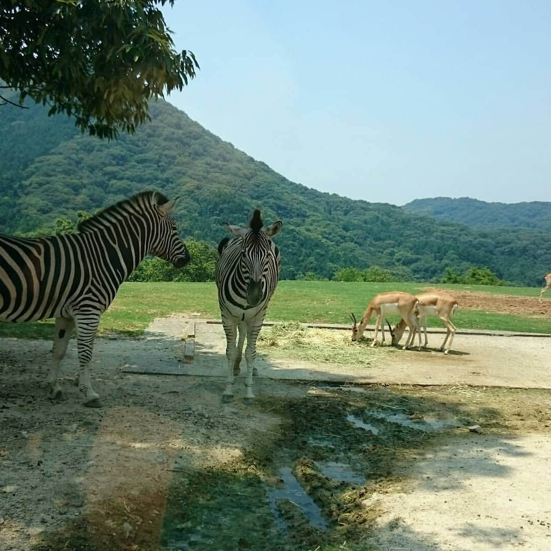 橋本和のインスタグラム