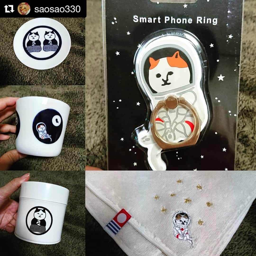 ねこのインスタグラム