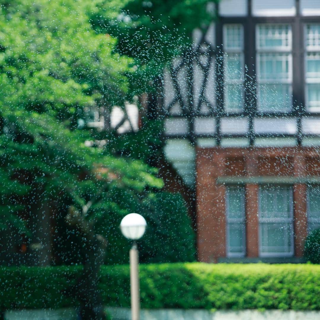 Meiji Gakuin/明治学院大学/明学のインスタグラム