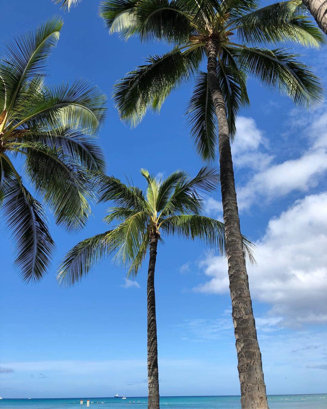 小堀紀代美さんのインスタグラム写真 - (小堀紀代美Instagram)「ハワイに到着。実家の洋菓子店 @kobori1969 50周年記念の家族旅行。短い旅ですが、楽しみまーす🌴」7月26日 4時31分 - likelikekitchen