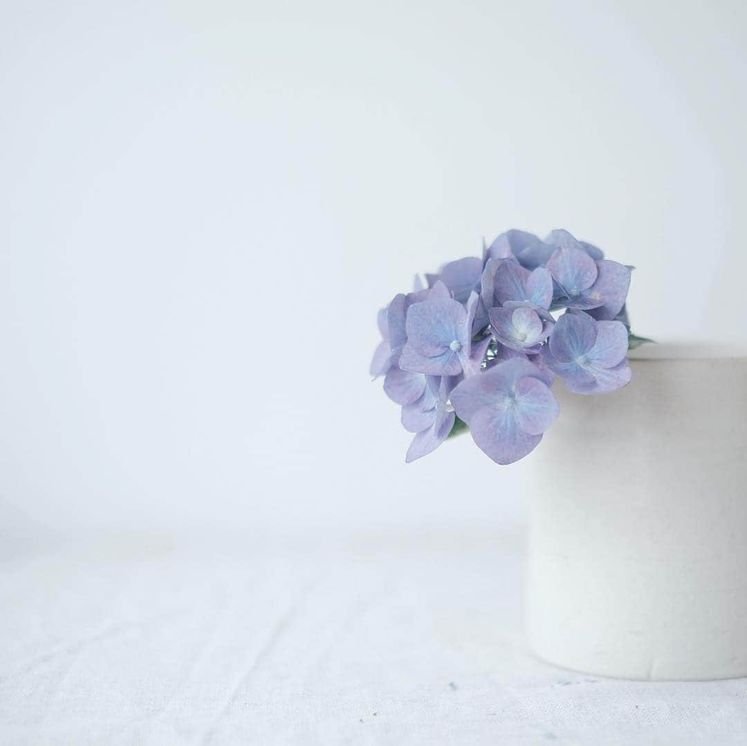 masa_sunのインスタグラム：「💠 . . . . . #hydrangea #アジサイ #フィルム写真で繋がりたい  #カメラ好きな人と繋がりたい #ファインダー越しの私の世界 #写真好きな人と繋がりたい #写真撮ってる人と繋がりたい #お洒落さんと繋がりたい #土曜日の小旅行 #オールドレンズに恋をした」