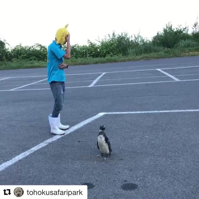 山崎聡子のインスタグラム