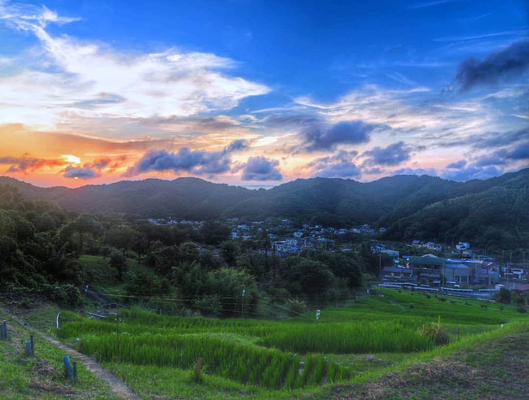 葉山町のインスタグラム