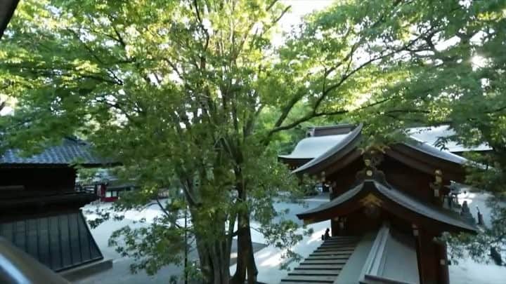 楠ダニエルのインスタグラム：「大国魂神社で撮影した動画が上がってきたのでUPします😊. . . . 由緒ある神社で撮影に 携われたことに感謝です。 そして猛暑の中での撮影なのに 良くして下さりありがとうございます。 . . . #model#male#daniel#mensfashion #menshair #メンズモデル#apparel#movie#photo#photography #photogenic #モデル#撮影#タキシード #tuxedo #パラグアイ #和装 #wedding #ウェディングドレス #hot#shootingday #japanese #ブライダル#ウエディング#結婚式#神社#大国魂神社」