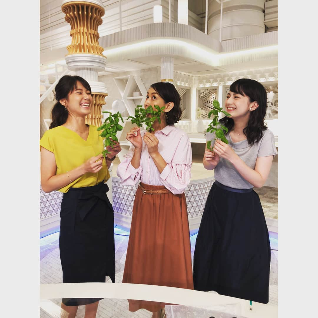 TBSアナウンサー公式さんのインスタグラム写真 - (TBSアナウンサー公式Instagram)「こんばんは！山本恵里伽です！ 今日もNスタご覧いただきありがとうございます。😊🍀 Nスタで共演しているホランさんが ベランダで育てた立派なバジルを お裾分けしてくださいました〜！ んん〜〜とっても良い香り…🌱 山内アナの表情、さすがですね 皆さんにもこの香り届きましたか？  普段は堅いニュースもお伝えしていますが スタッフルームはみんな和気あいあい☀️ 尊敬する先輩方に囲まれて 毎日勉強させてもらっています。 来週のNスタも是非ご覧ください！！ #tbs #tbs公式 #tbsradio #tbs_annogram #tbsアナウンサー公式インスタグラム #tbsアナウンサー #nスタ #左から順に #小林由未子 #山内あゆ #山本恵里伽 #来週も見てね #良い週末を #あ、台風きてます  #お気をつけください！」7月27日 19時11分 - tbs_annogram