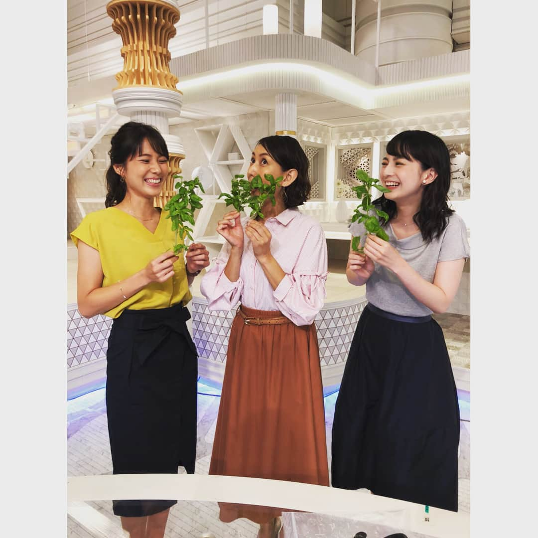 TBSアナウンサー公式さんのインスタグラム写真 - (TBSアナウンサー公式Instagram)「こんばんは！山本恵里伽です！ 今日もNスタご覧いただきありがとうございます。😊🍀 Nスタで共演しているホランさんが ベランダで育てた立派なバジルを お裾分けしてくださいました〜！ んん〜〜とっても良い香り…🌱 山内アナの表情、さすがですね 皆さんにもこの香り届きましたか？  普段は堅いニュースもお伝えしていますが スタッフルームはみんな和気あいあい☀️ 尊敬する先輩方に囲まれて 毎日勉強させてもらっています。 来週のNスタも是非ご覧ください！！ #tbs #tbs公式 #tbsradio #tbs_annogram #tbsアナウンサー公式インスタグラム #tbsアナウンサー #nスタ #左から順に #小林由未子 #山内あゆ #山本恵里伽 #来週も見てね #良い週末を #あ、台風きてます  #お気をつけください！」7月27日 19時11分 - tbs_annogram