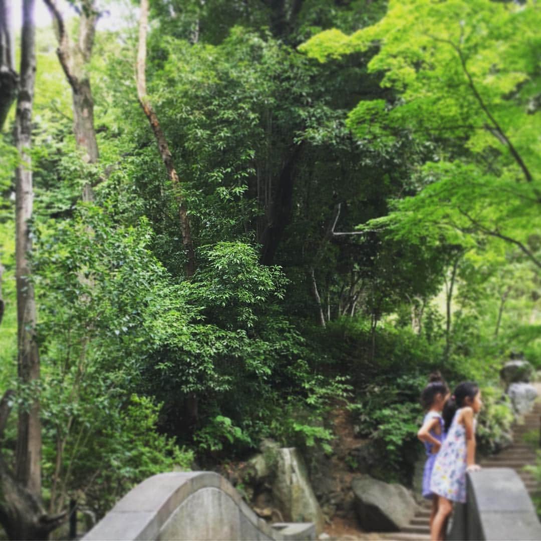 高岡早紀 さんのインスタグラム写真 - (高岡早紀 Instagram)「緑がいっぱい。。」7月27日 22時04分 - saki_takaoka