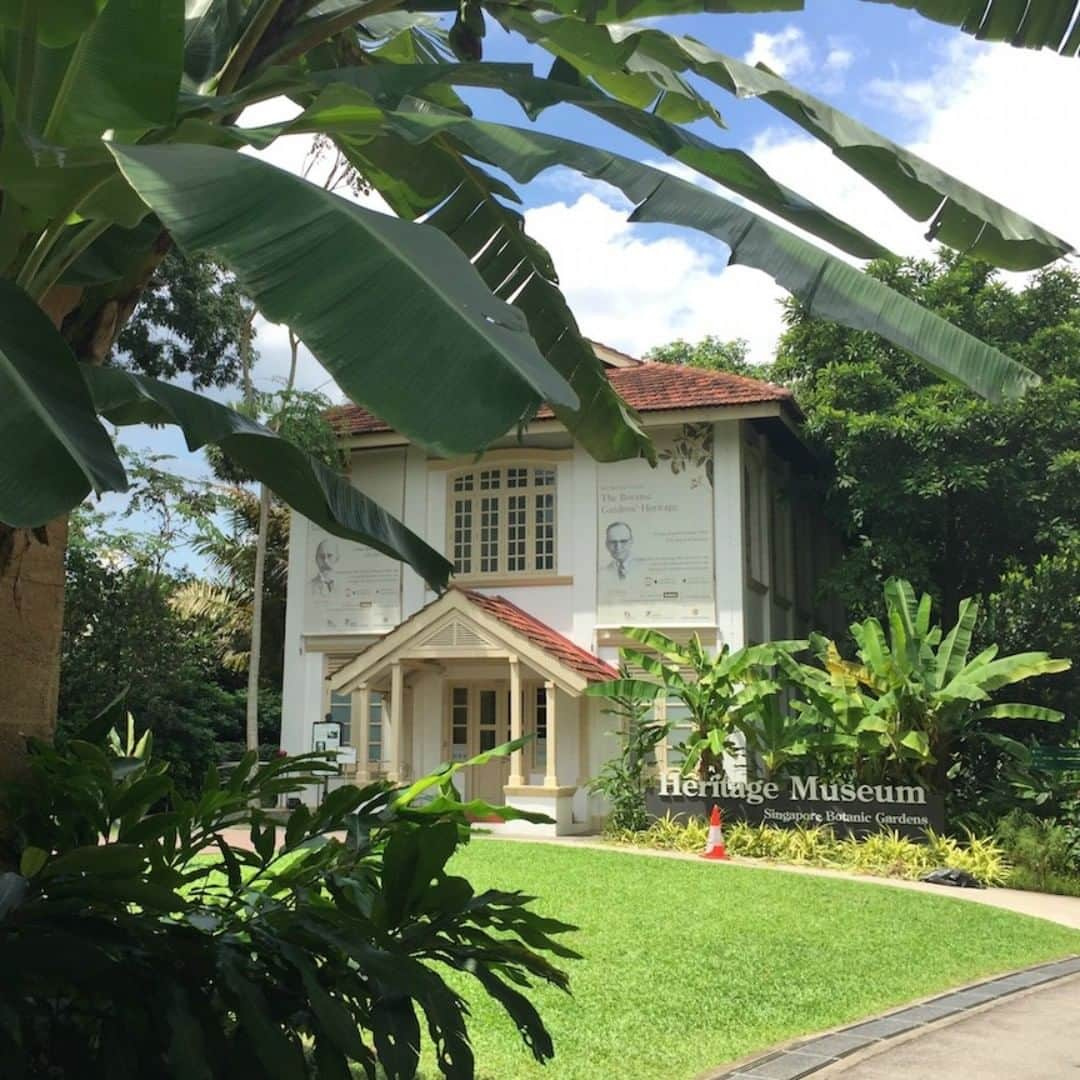 TRAVEL PLANETのインスタグラム：「#botanicalgarden #singapore #シンガポール博物館 #シンガポール #世界遺産 #世界見聞LOG . . 広大な 植物園の 中に建つ 未来仕掛けの 魔法の館 . . シンガポール初の世界遺産として２０１５年にユネスコ認定を受けたのがシンガポール植物園。広大な敷地の中には美しい花々が咲くだけではなく、インタラクティブなマルチメディアミュージアムが存在します。 . . #トラベルプラネットでシンガポールの旅」