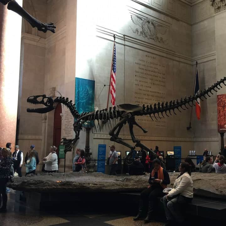 TRAVEL PLANETさんのインスタグラム写真 - (TRAVEL PLANETInstagram)「#newyork #usa #americanmuseumofnaturalhistory #ニューヨーク #アメリカ #アメリカ自然史博物館 #世界見聞LOG . . 真夜中に 標本踊る ミュージアム 恐竜マニアの 妄想観光 . . 映画『ナイトミュージアム』の舞台としても有名なアメリカ自然史博物館は膨大な資料と標本を有する世界レベルのミュージアム。セントラルパークに近いのでマンハッタン観光で是非立ち寄りたいスポットです。 . #トラベルプラネッットでアメリカ合衆国の旅」7月28日 14時00分 - traveling_producer