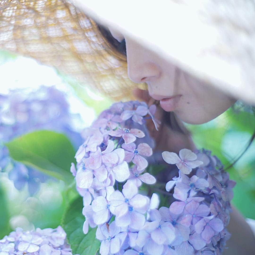 masa_sunのインスタグラム：「🌀 . . . . . #hydrangea #アジサイ #フィルム写真で繋がりたい  #カメラ好きな人と繋がりたい #ファインダー越しの私の世界 #写真好きな人と繋がりたい #写真撮ってる人と繋がりたい #お洒落さんと繋がりたい #土曜日の小旅行 #オールドレンズに恋をした」