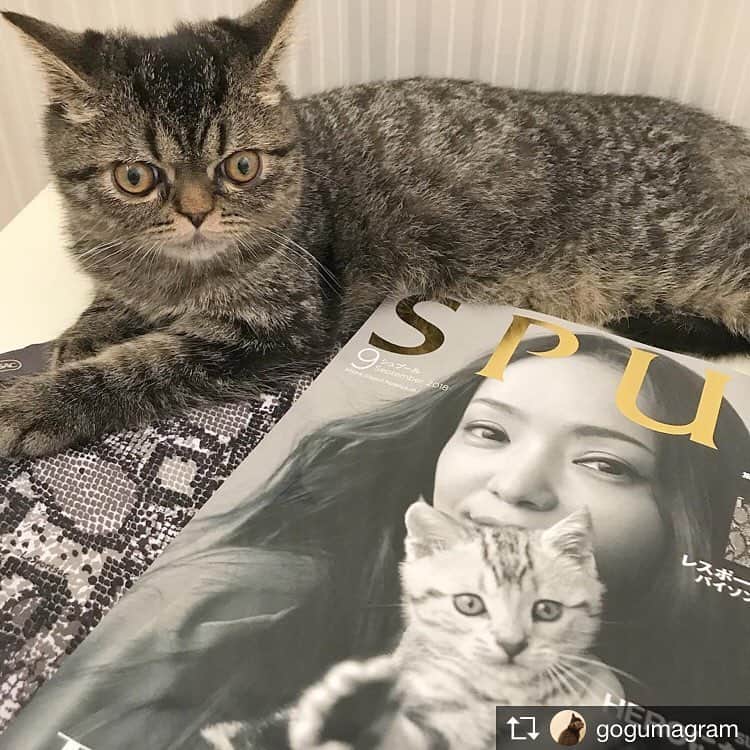 SPURのインスタグラム