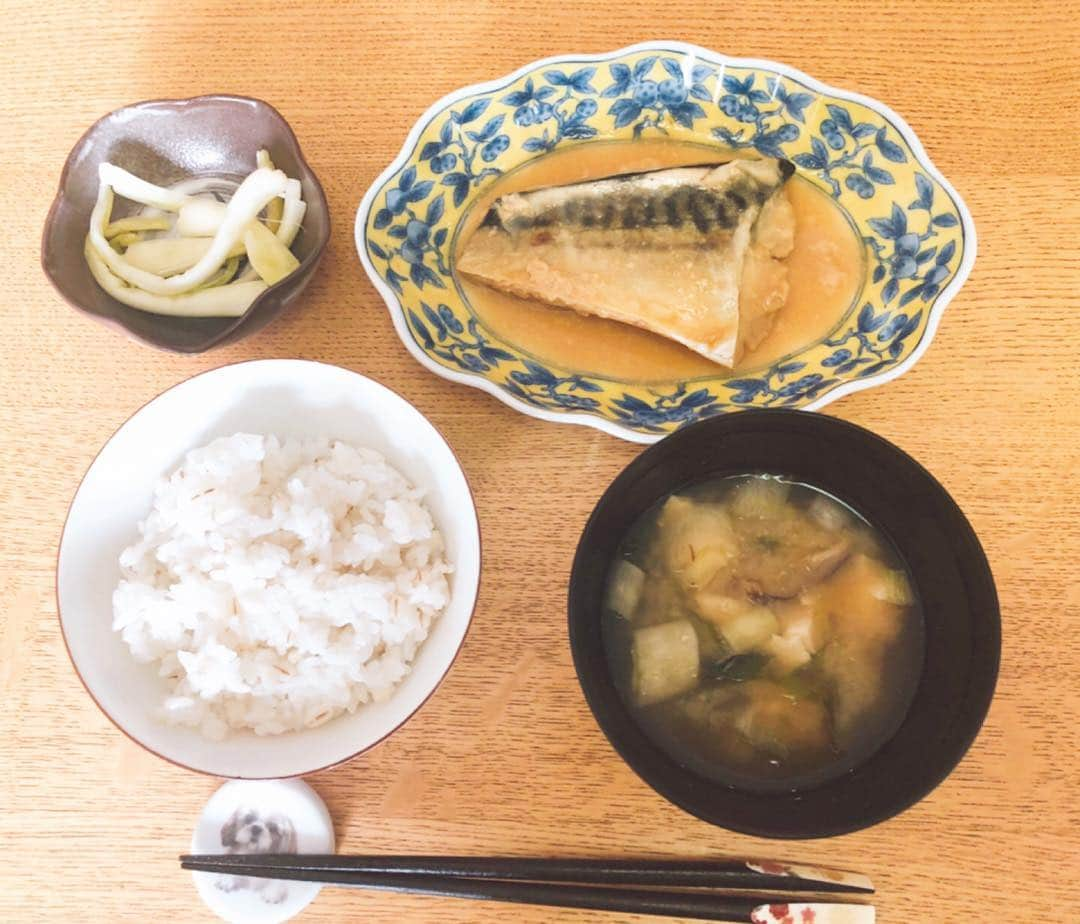 花總まりさんのインスタグラム写真 - (花總まりInstagram)「今日の晩御飯は冷凍宅配のさばの味噌煮をチョイス。骨がとってあり、めちゃくちゃ美味しかった🤗 因みに私が今使っているのはシュガーレディというところのです✨ オーガニック食材が沢山揃っているので気に入っています👌」7月28日 19時32分 - hanafusamari_official