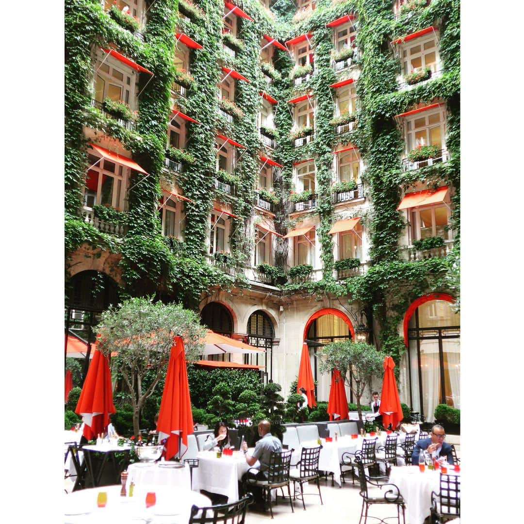 田中麻衣さんのインスタグラム写真 - (田中麻衣Instagram)「可愛い中庭❤️ . tops..CHANEL skirt..miumiu bag..HERMES . #hotelplazaathenee #ホテルプラザアテネ #プラザアテネ #paris #paris🇫🇷 #パリ #パリ旅行 #フランス旅行 #fashion #ootd #ファッション」7月28日 21時11分 - maitanaka1217