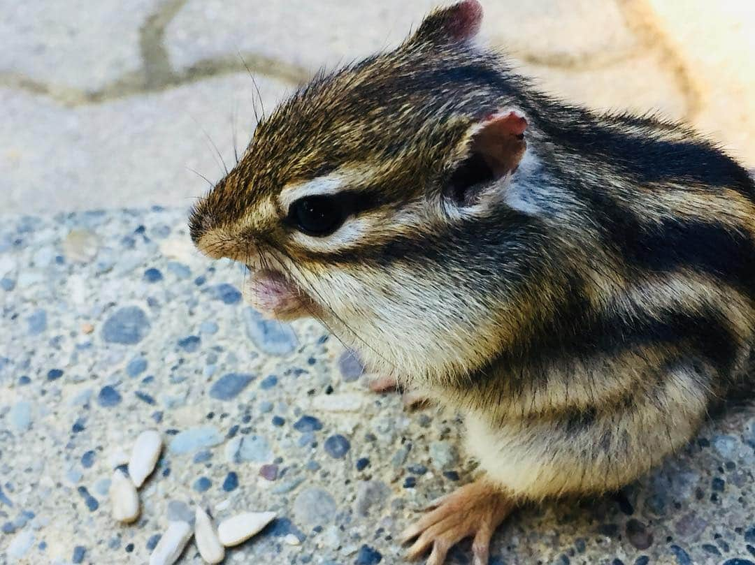 高橋真生のインスタグラム