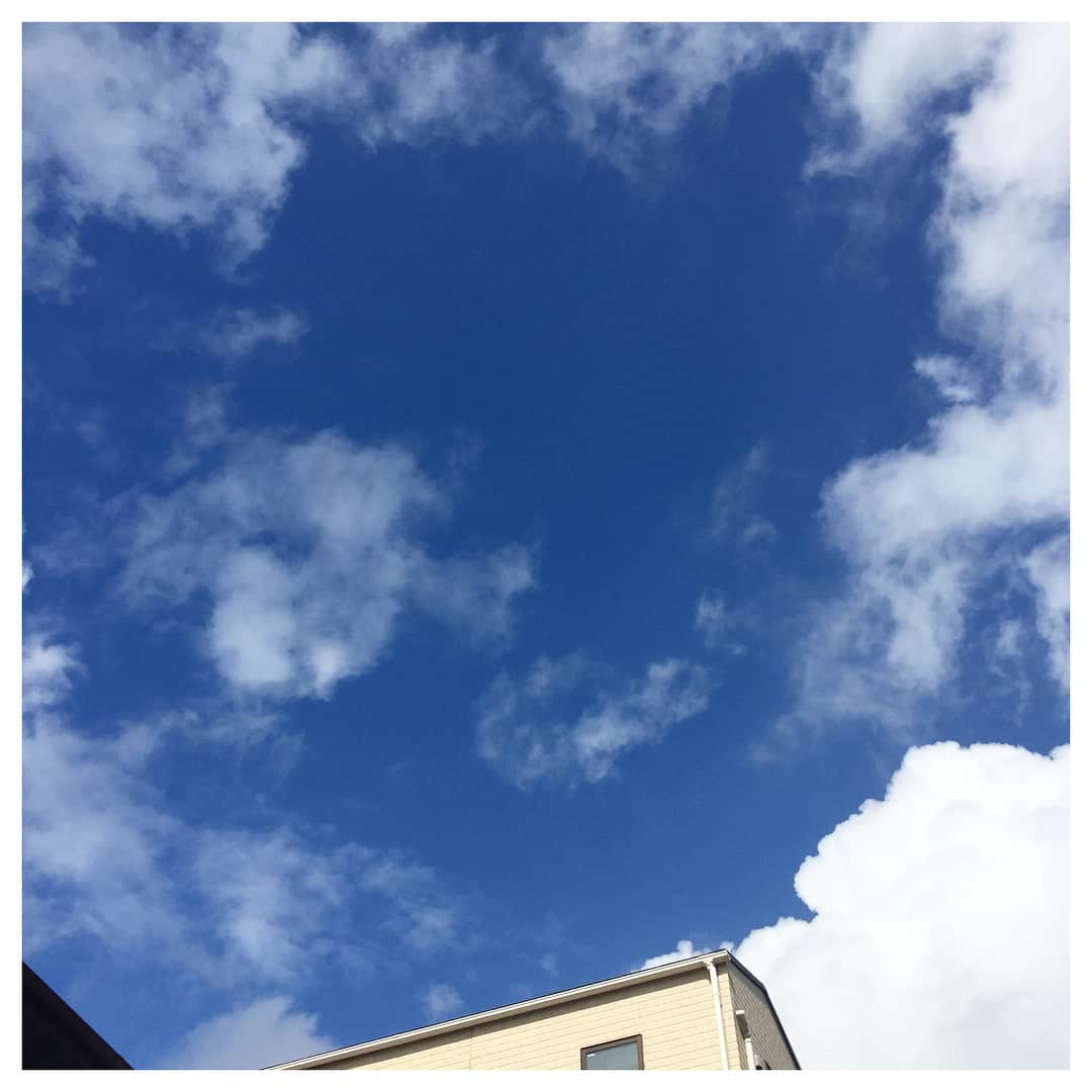 朝倉えりかのインスタグラム：「#おはようございます  #えりかさんぽ 関東の空は #台風一過 で晴天です^ ^ よーく見ると鳥が見えたり🕊  見えなかったり！w . 西日本の皆さんはこれからのようなのでくれぐれもお気をつけて下さい✨✨ . #朝からえりか #空 #散歩 #お散歩 #自然 #写真 #アンバサダー #ウェルネスアンバサダー #朝倉えりか #selfie #style #portrait #wellness」