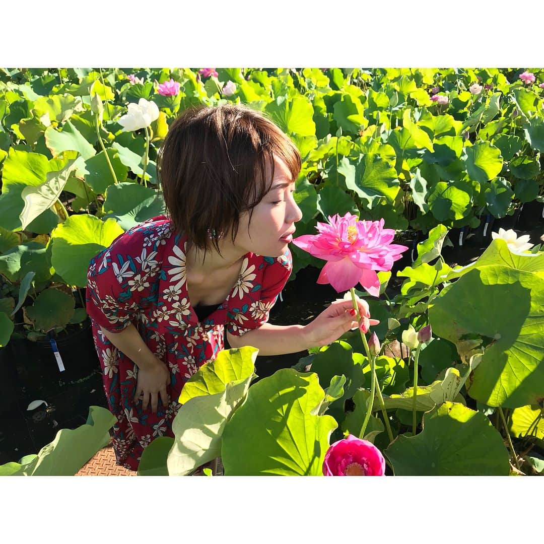 増田有華さんのインスタグラム写真 - (増田有華Instagram)「＊ 新潟はびっくりするほどの快晴です。 みんなで楽しくロケ❤️ また告知しますね。 #撮影 #グラビアみたいな #オフショット #蓮子 #japan #japanesegirl #instagood #flower」7月29日 9時20分 - masuyuka_official