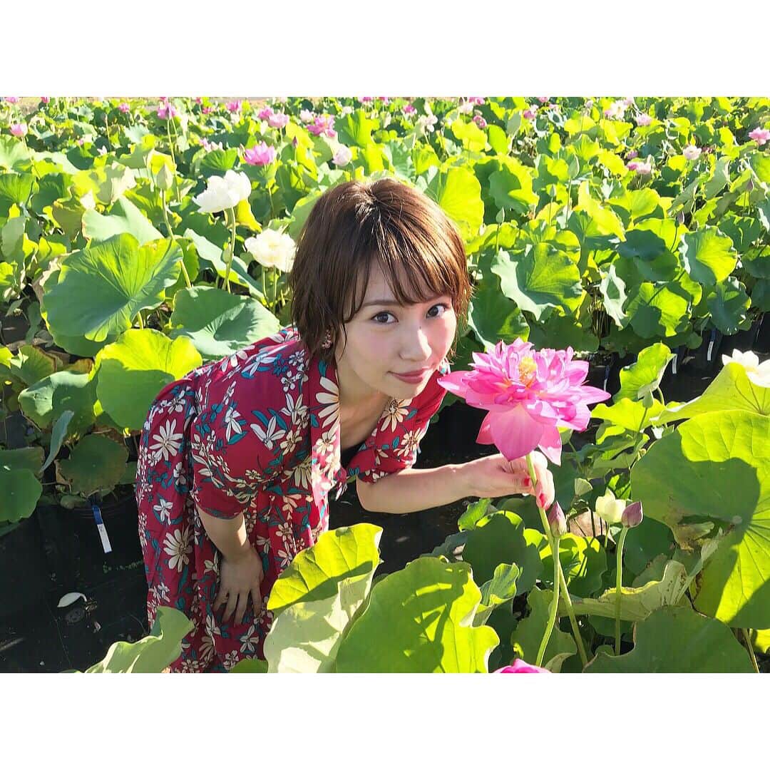 増田有華さんのインスタグラム写真 - (増田有華Instagram)「＊ 新潟はびっくりするほどの快晴です。 みんなで楽しくロケ❤️ また告知しますね。 #撮影 #グラビアみたいな #オフショット #蓮子 #japan #japanesegirl #instagood #flower」7月29日 9時20分 - masuyuka_official