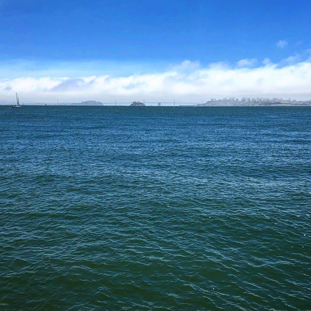 ニック・ハイドフェルドさんのインスタグラム写真 - (ニック・ハイドフェルドInstagram)「#summer #holiday #usa #california #sea #food #seafood #flowers #sausalito #view of #skyline #sanfrancisco and #alcatraz」7月29日 7時25分 - nickheidfeld