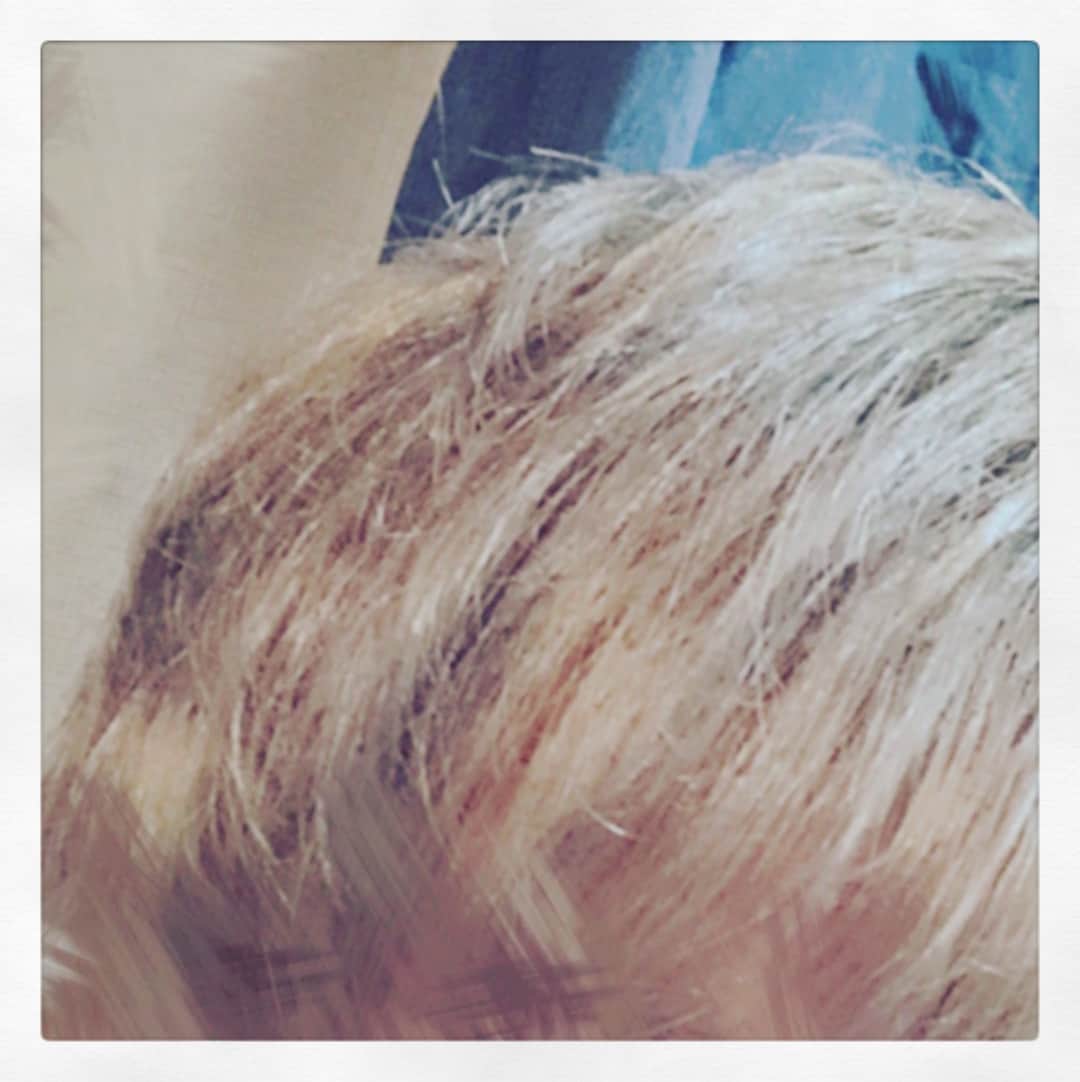るぅとさんのインスタグラム写真 - (るぅとInstagram)「ころちゃんとこの間にFILMSさんで髪の毛をカットカラーしてまいりました！✂️ 人生初ブリーチで髪色はこんな感じです☺️ #やっぱ髪の毛は髪の毛にするべきぃ( ´•౪•`)」7月29日 18時46分 - root_nico