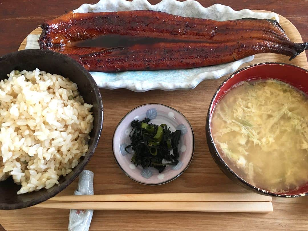 水村真悠子のインスタグラム：「義母が送ってくれた、鰻楽の鰻で、お昼ご飯🍚. ＊鰻 ＊実山椒ご飯 ＊みょうがのかき玉汁 ＊葉唐辛子の佃煮 . 実山椒とみょうがは、実家で採れたやつ💁‍♀️ 鰻と実山椒ご飯、最高でした😍😍😍 . #鰻 #鰻楽 #鰻ランチ #実山椒 #土鍋ご飯 #葉唐辛子 #葉唐辛子の佃煮」